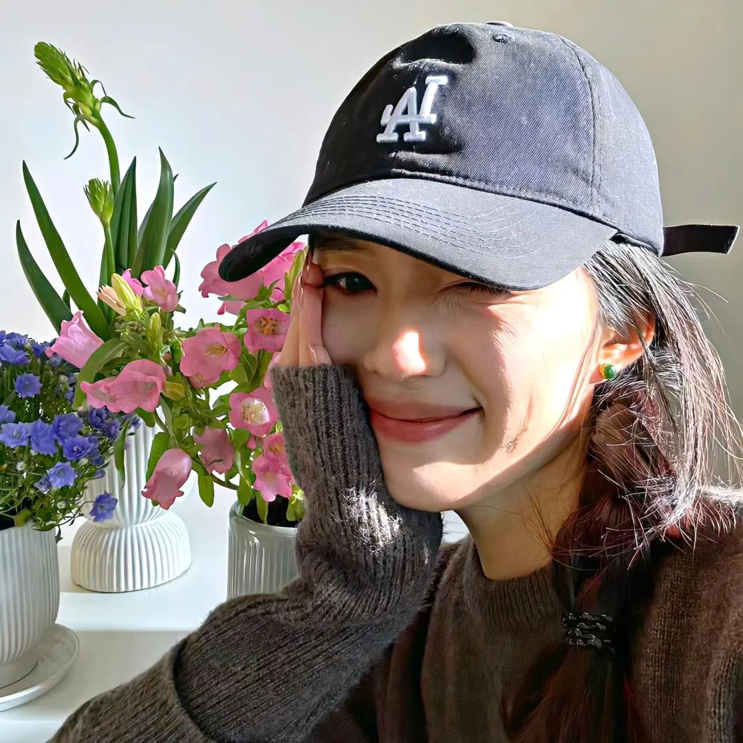 南方与北方